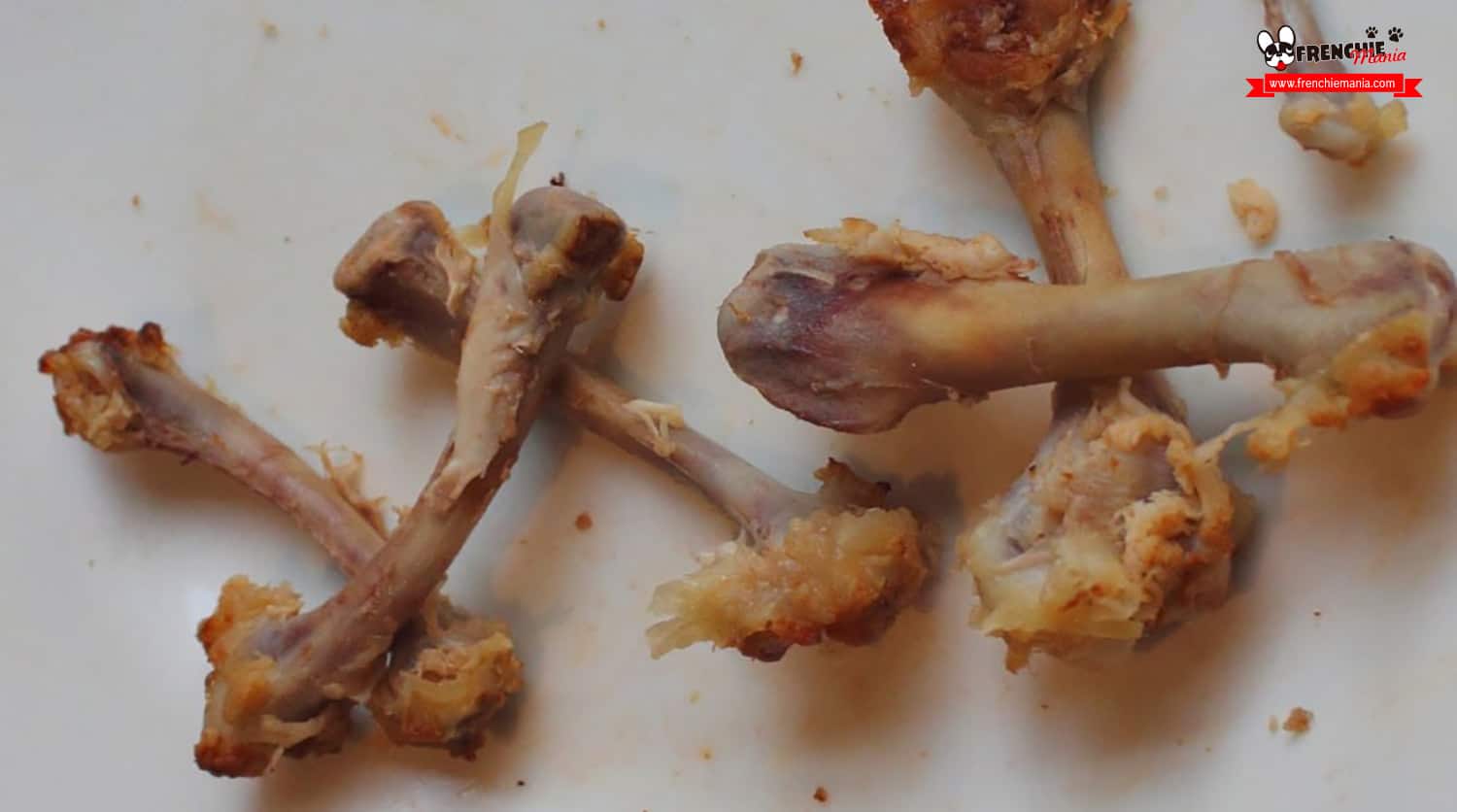 alimentos peligrosos para perros golosinas huesos pollo