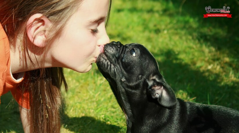 beneficios saliva beso perro
