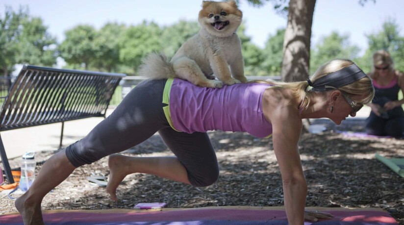 como empezar sesion doga yoga para perros