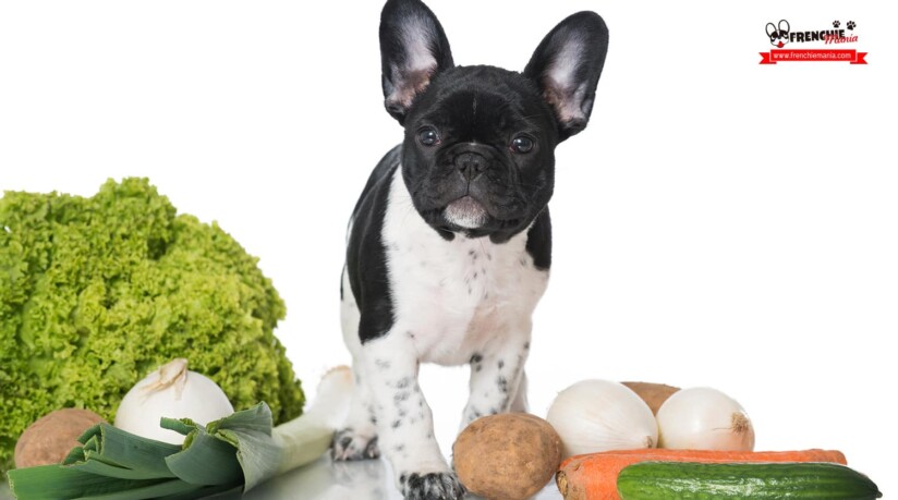 dieta barf perros comida casera natural bulldog frances como hacerla beneficios