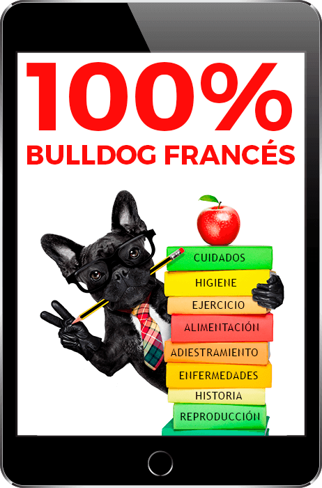 ebook bulldog frances