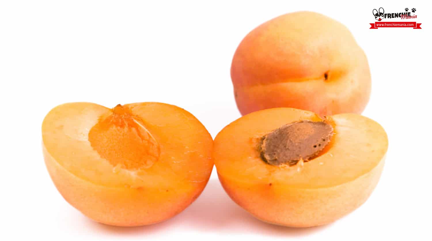 fruits for dogs apricot