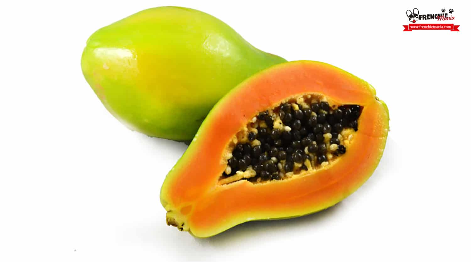 fruits for dogs papaya