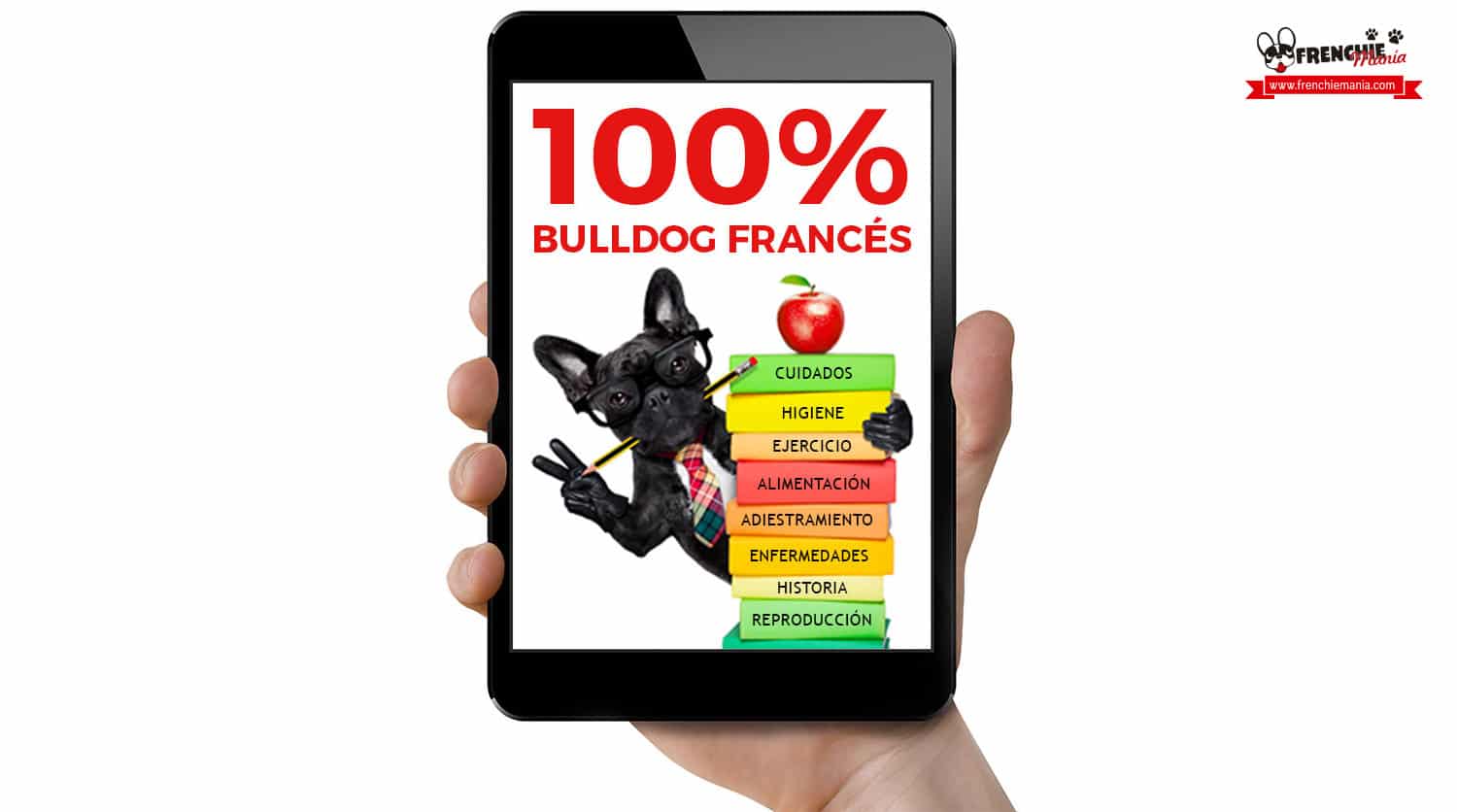 libros bulldog frances ebook frenchiemania