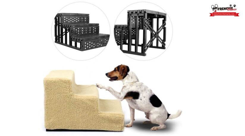 mejores accesorios para perros escalera sofa cama