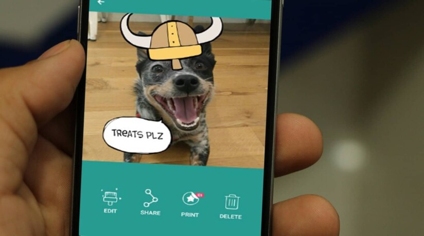 mejores aplicaciones para mascotas barkcam