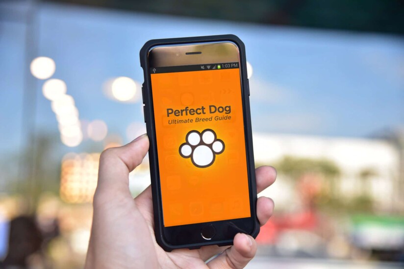 mejores aplicaciones para mascotas perfect dogs