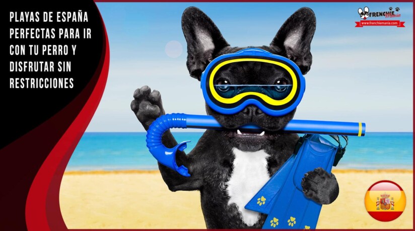 mejores playas para perros españa libres sin restricciones