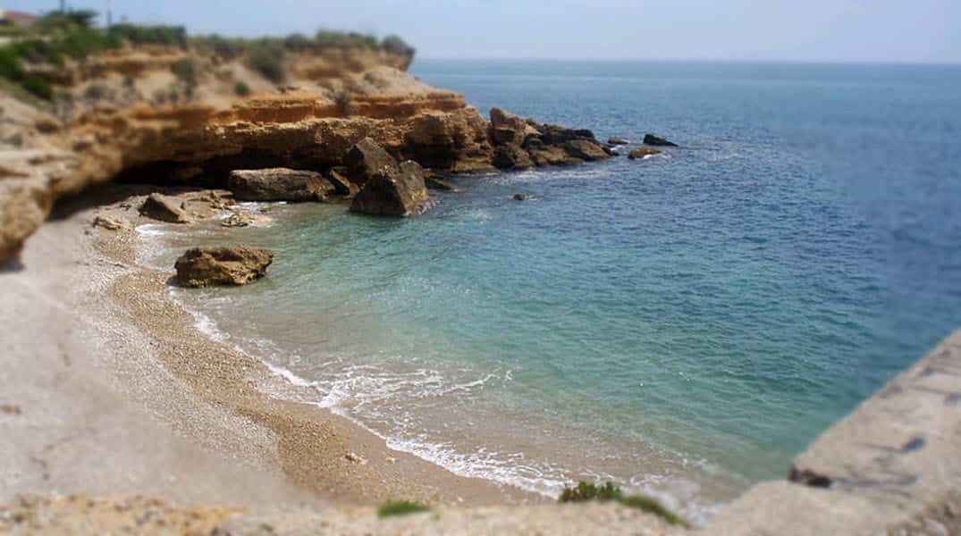 mejores playas para perros españa playa aiguaoliva vinaroz alicante