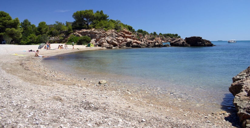 mejores playas para perros espana playa bon caponet tarragona