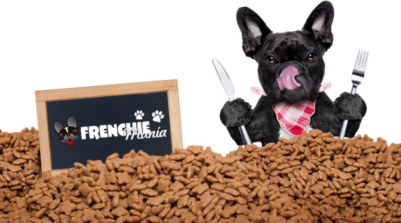 mistakes feeding french bulldog change food brand