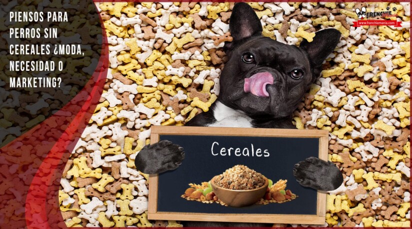 piensos para perros sin cereales
