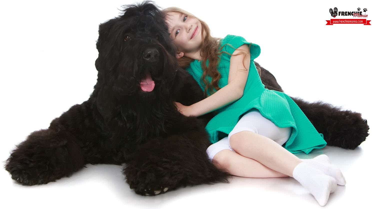 razas perros grandes mundo black russian terrier