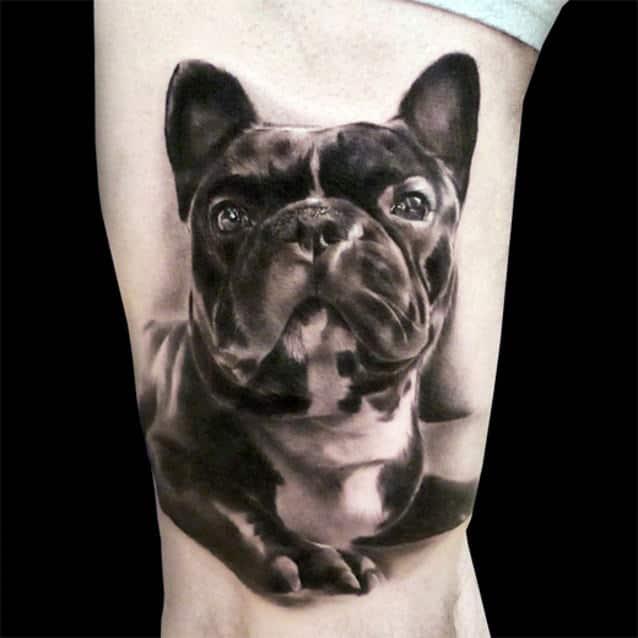 tatuaje bulldog frances